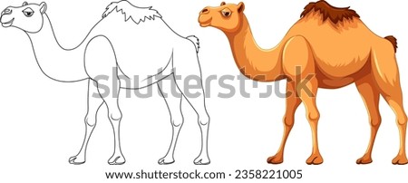 A vector cartoon illustration of a camel walking with its outline for coloring