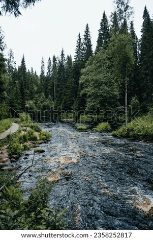 Karelia. Russia. View of the waterfall and forest river