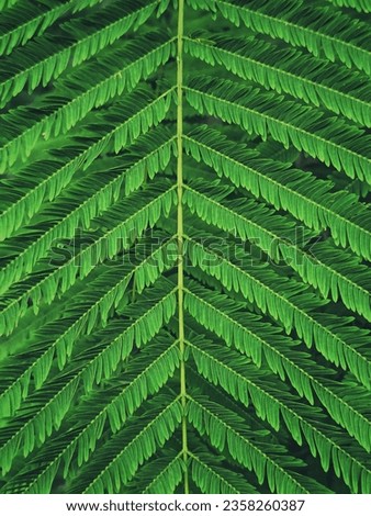 Abstract vertical green leaves background 