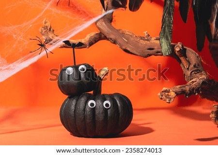 Two black pumpkins with eyes and web spiders on an orange background. Pumpkin monsters, funny Halloween card