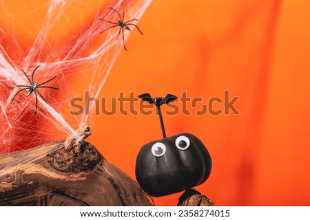 Black pumpkin with eyes and web spiders on an orange background. Pumpkin monster, funny Halloween card with copy space for text