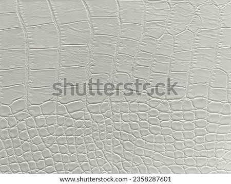 This is white crocodile skin Royalty-Free Stock Photo #2358287601