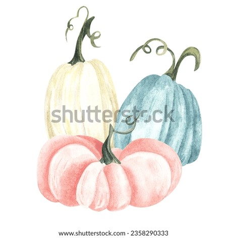 Watercolor pumpkin composition, floral pumpkins, Halloween clip art, autumn design elements, fall arrangement of blue, pink and white pumpkins. Harvest illustration isolated on white background