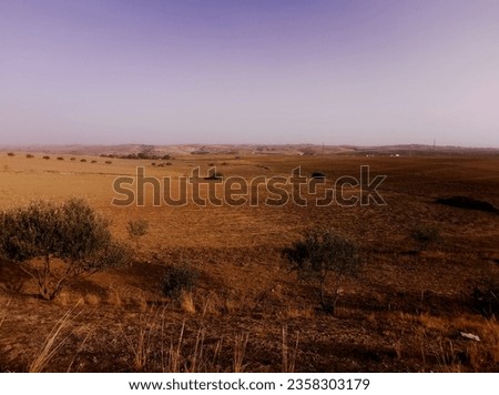 A picture of yellow field in summer