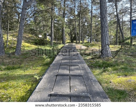 Picture of the wooden walkway