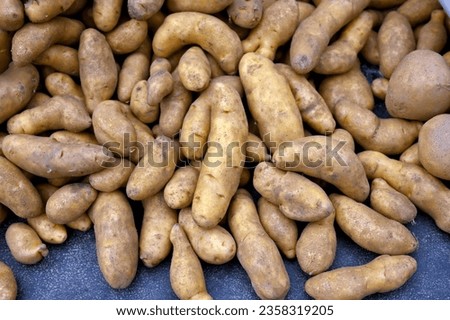 Fresh eco organic Potatoes for sale in a farm market