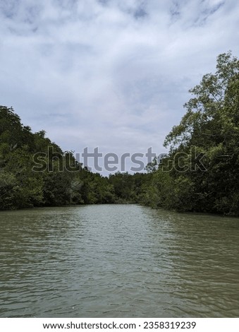 Mangrove ecosystem on Can Gio Island in Southern Vietnam