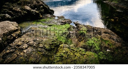 coastal sea rocks in a sea bay. stone textures. Skookumchuck Narrows Provincial Park. British Columbia, Canada