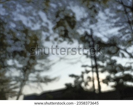 Blurred tree photo. Suitable for making captions