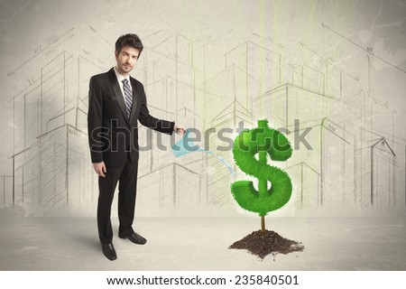 Business man poring water on dollar tree sign concept on city background