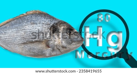 Presence of Mercury in farmed fish - concept with the Mendeleev periodic table and magnifying glass Royalty-Free Stock Photo #2358419655