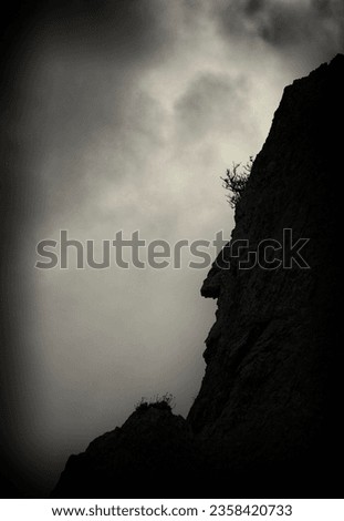 visage-shaped cliff silhouette with eyebrows made of shrubs, black-and-white photography