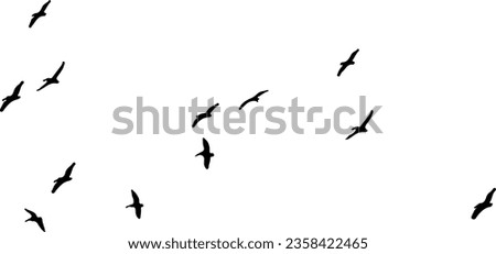 BIRD PNG VECTOR USED IN SKY.A Flock of Flying Birds. VectorFlying Birds Black Silhouette Vectors Set EPS Free PNG Formats
