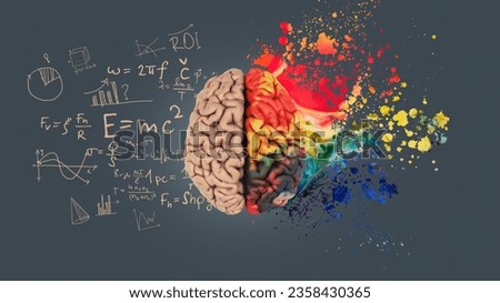 Left right human brain concept. Creative part and logical part with social and business part. Creative art brain explodes with paint splatter. Mathematical successful mindset with formulas. Royalty-Free Stock Photo #2358430365