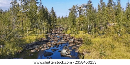 Beautiful landscape of northern nature. Taiga, Coniferous forest