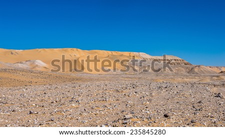 Sand dune in the desert in Egypt