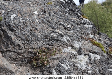 Rock surface close-up reference molten lava colled waves material stone macro Icelandic rocks Scandinavian Nordic