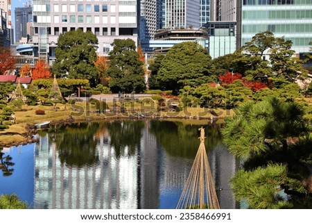 Japanese garden in Tokyo city. Kyu Shiba Rikyu Garden. Royalty-Free Stock Photo #2358466991