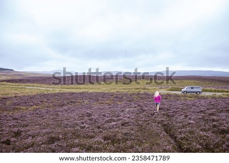 Blonde woman tourist walking in Scotland in field of heather, calluna in full bloom. Dramatic clouds, peaceful photo, contrast. 