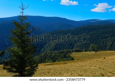 Beautiful september sunny day on Carpati Mountains Royalty-Free Stock Photo #2358473779
