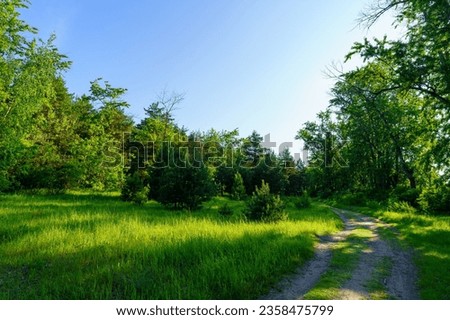 Summer view of a road in a sparse forest enveloping a clearing Royalty-Free Stock Photo #2358475799