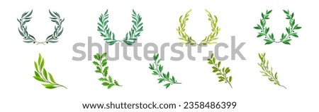 Green Twig and Wreath of Branch with Leaves Vector Set