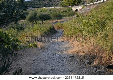 Dirt road, green trees and bushes - a view often found in Croatia