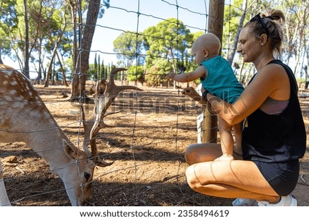 Family feeding fallow deer in zoo, Spain