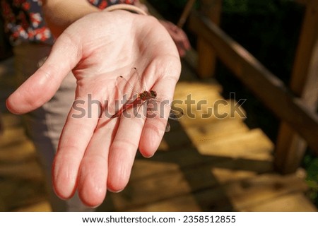 Red dragonfly on a woman's hand Royalty-Free Stock Photo #2358512855
