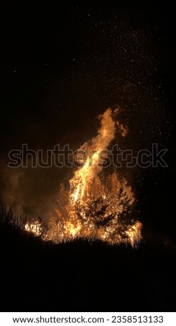 A beautiful picture of fire with a background.