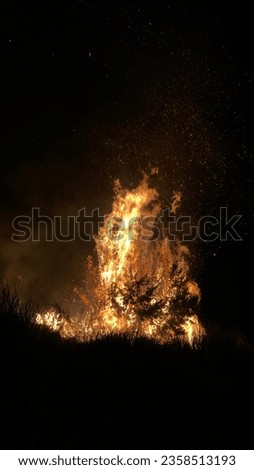 A beautiful picture of fire with a background.