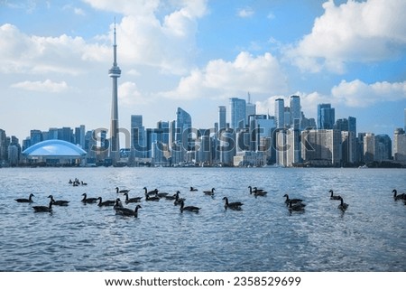 Beautiful view of Rogers Centre and CN Tower in Toronto, Canada Royalty-Free Stock Photo #2358529699