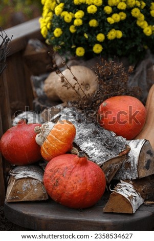 Autumn composition, pumpkins and logs, on the background of flowers