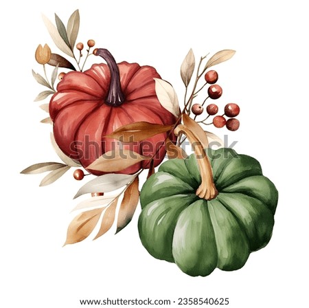 Watercolor pumpkin collection. Autumn harvest. Illustration clipart isolated on white background.