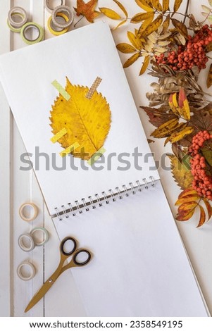 A child makes a herbarium in an album from autumn colorful red, yellow and brown leaves. Happy autumn time.