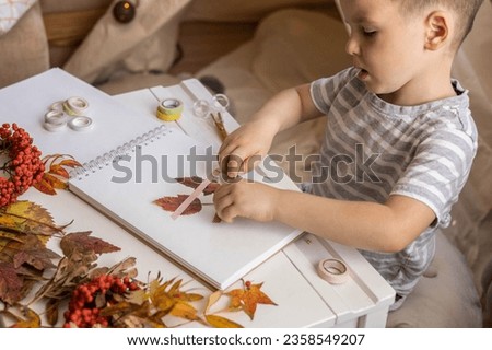 A child makes a herbarium in an album from autumn colorful red, yellow and brown leaves. Happy autumn time.