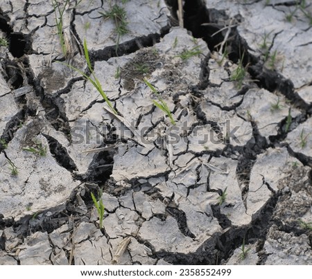 dry cracked earth soil agriculture