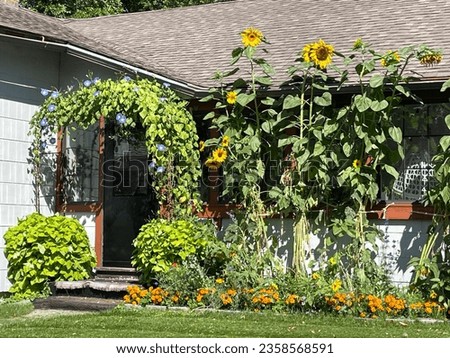 Adorable garden at the front entrance of a small cottage