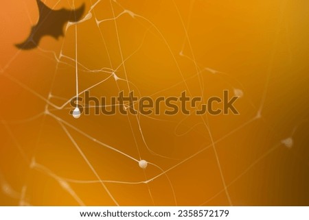 Halloween background with cobweb and the shadow of a bat in orange tones.