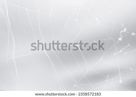 Halloween spiderweb with space for copy on gray background . Cobweb.
