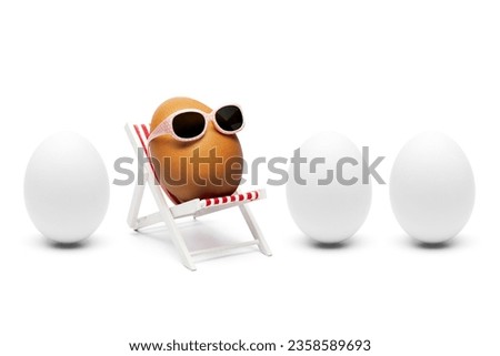 The secret about brown eggs - Humor Sunglasses lounger