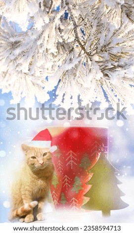Red cute cat and cup of hot chocolate and snowy Christmas tree. Winter Greeting card with pet, cat. Merry Christmas and Happy New Year.