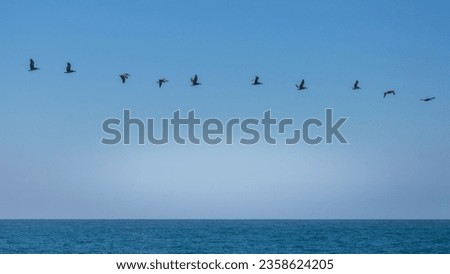 A journey forward: A march of birds dot the sky over a blue ocean with copy space 