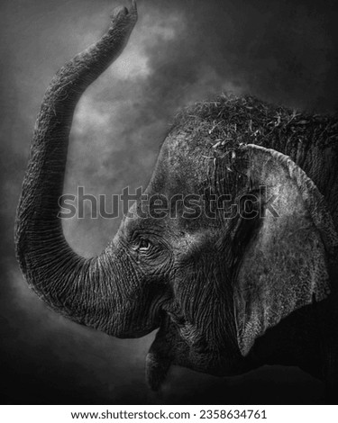 Fine Art picture of "Sumatran Elephant", in black and white with grainy