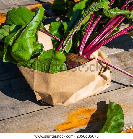 Fresh organic beets in a paper bag. Beets in a paper shopping bag on a wooden table. Selective focus.