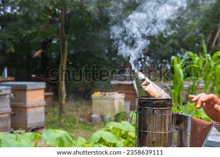 Bee smoker in the apiary. Apiculture or beekeeping concept photo. Selective focus on foreground.