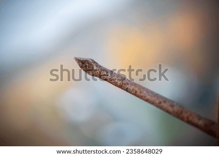 Close-up of a rusty nail on a metal plate. High quality photo