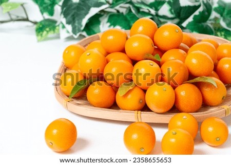 A kumquat is a kind of citrus fruit. It is a very sour fruit when eaten raw, and is very good for the throat and delicious when eaten in candied or syrup form.