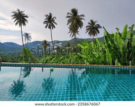 Picturesque pool in a cottage on a mountainside with a beautiful view of the mountainous tropical area Royalty-Free Stock Photo #2358676067