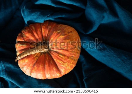 pumpkin on a dark blue halloween background